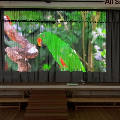 Rainforests Discovery Day - 16.04.2026