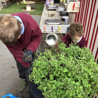 Year 3&4 - Gardening Club