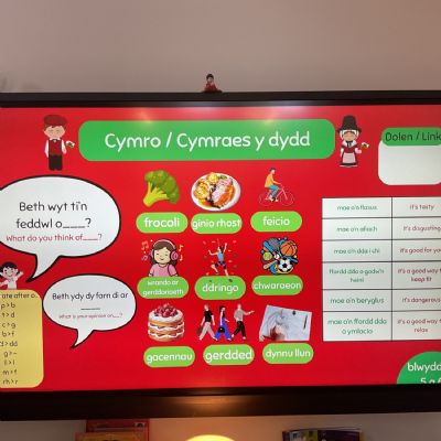 Cymraeg - Expressing Opinions - 15.05.2026
