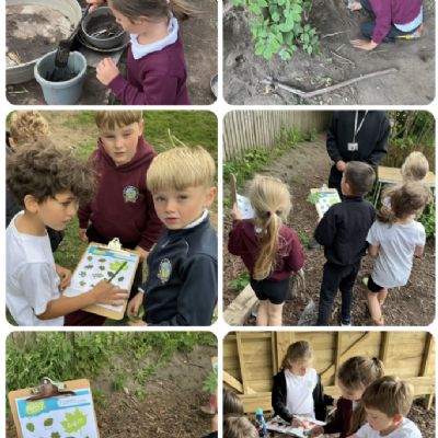 Forest School - 04.06.2026