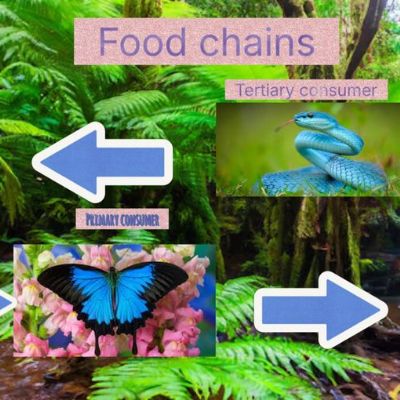 Science & Technology - Food Chains - 11.06.2026