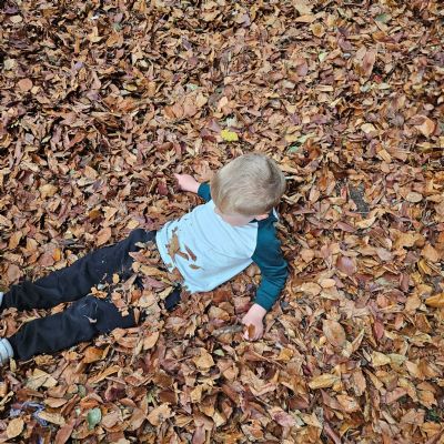 Forest School - 15.10.2025
