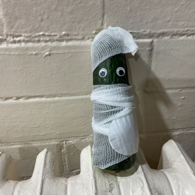 Discovery Day - 15.01.2026